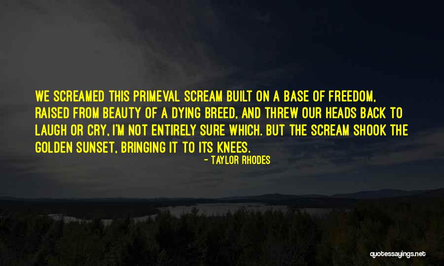 Youth And Freedom Quotes By Taylor Rhodes