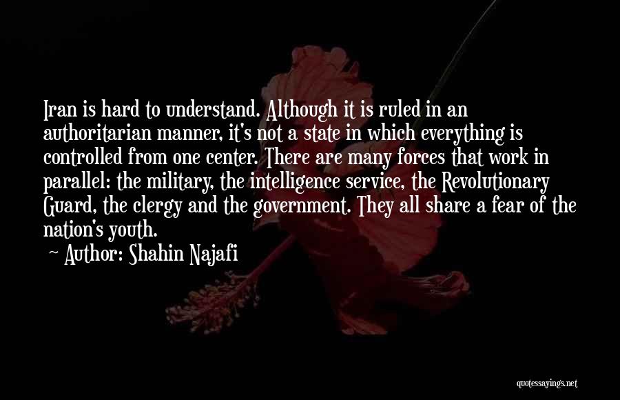 Youth And Government Quotes By Shahin Najafi