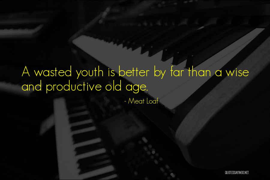 Youth Education Quotes By Meat Loaf