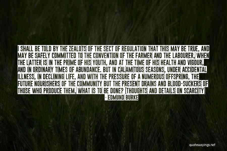 Youth Future Quotes By Edmund Burke Youth Future Quotes By Edmund Burke