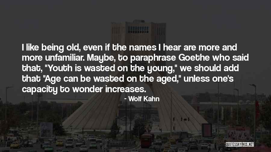 Youth Is Wasted On The Young Quotes By Wolf Kahn Youth Is Wasted On The Young Quotes By Wolf Kahn