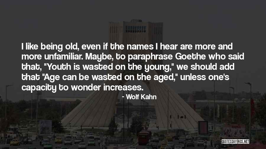 Youth Is Wasted On The Young Quotes By Wolf Kahn