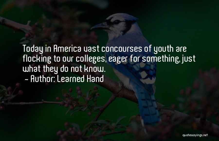 Youth Learning Quotes By Learned Hand