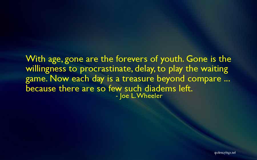 Youth Life Quotes By Joe L. Wheeler
