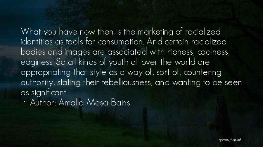 Youth Marketing Quotes By Amalia Mesa-Bains