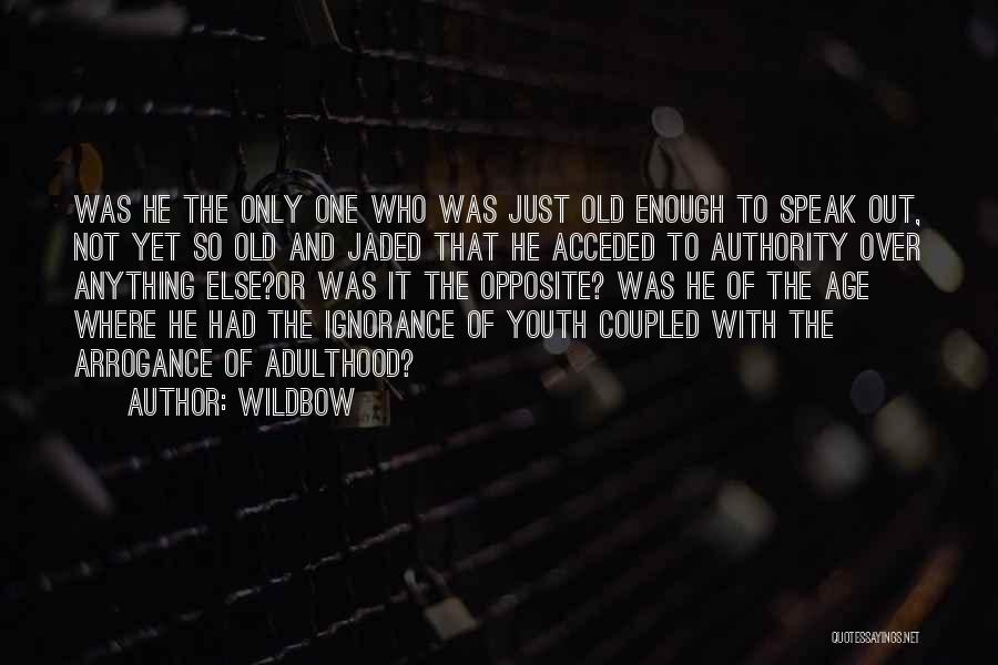 Youth Over Age Quotes By Wildbow