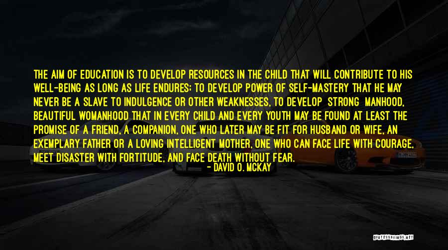 Youth Power Quotes By David O. McKay