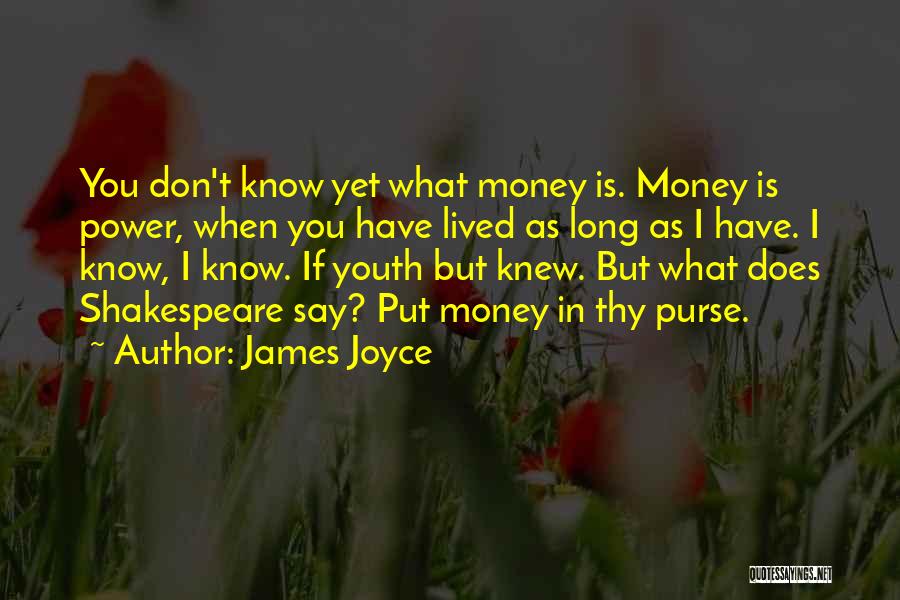 Youth Power Quotes By James Joyce