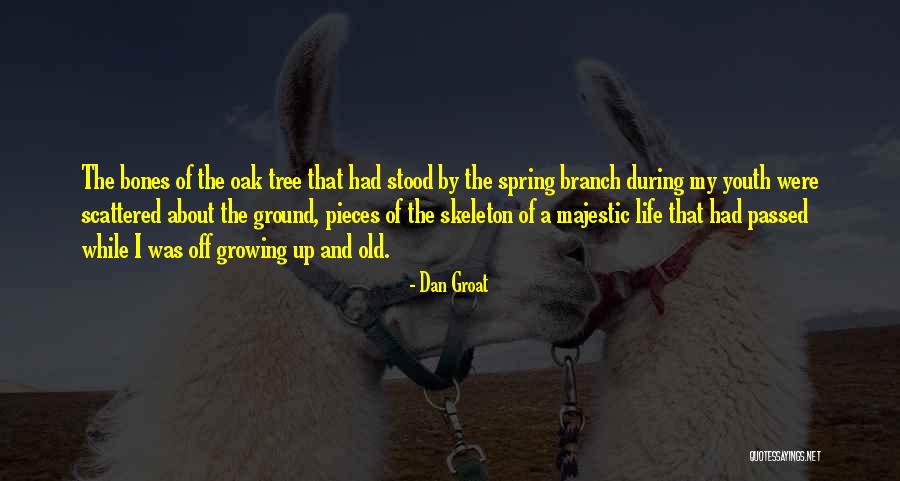 Youth Quotes And Quotes By Dan Groat Youth Quotes And Quotes By Dan Groat