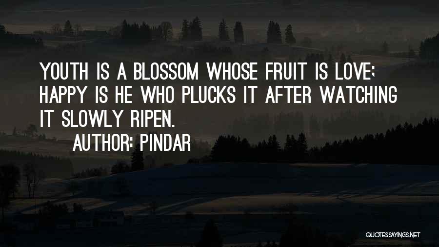 Youth That Is Happy Quotes By Pindar