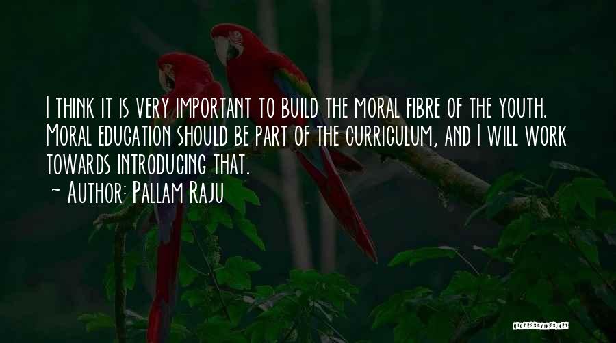 Youth Work Quotes By Pallam Raju