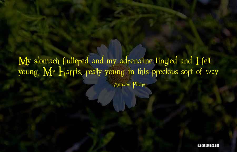 Youth Young Quotes By Annabel Pitcher