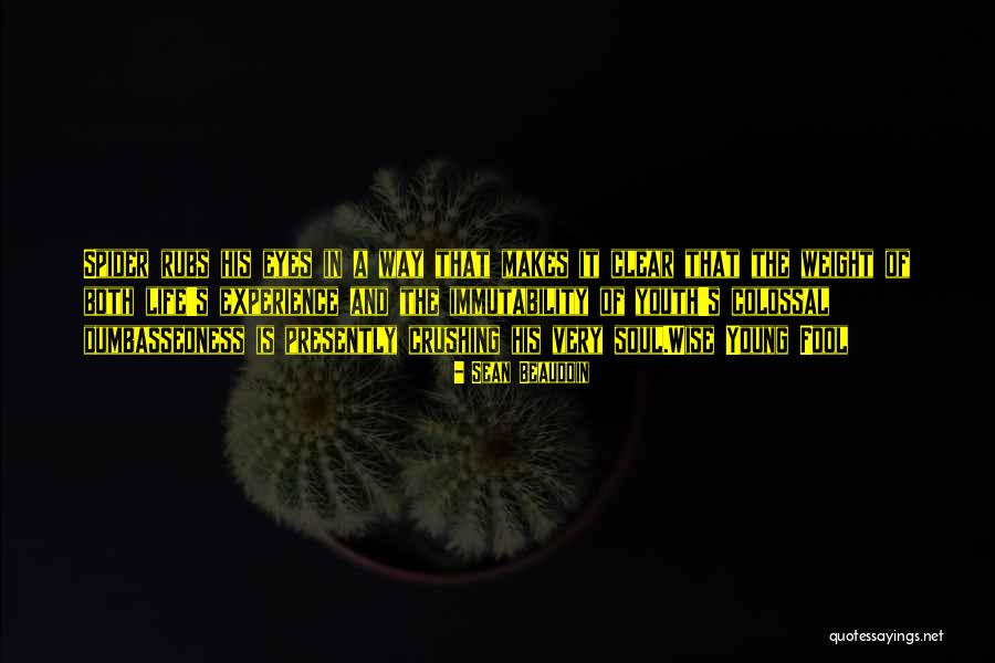 Youth Young Quotes By Sean Beaudoin