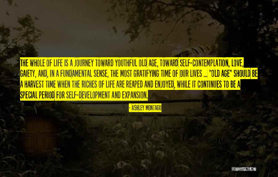 Youthful Love Quotes By Ashley Montagu Youthful Love Quotes By Ashley Montagu
