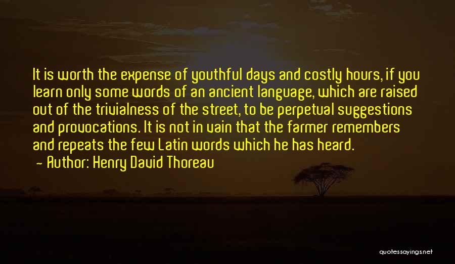 Youthful Quotes By Henry David Thoreau