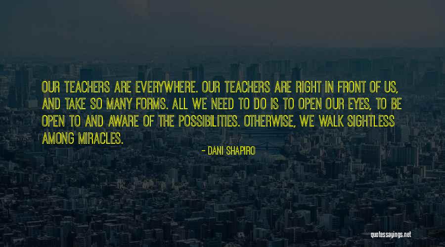 Youthisme Quotes By Dani Shapiro Youthisme Quotes By Dani Shapiro