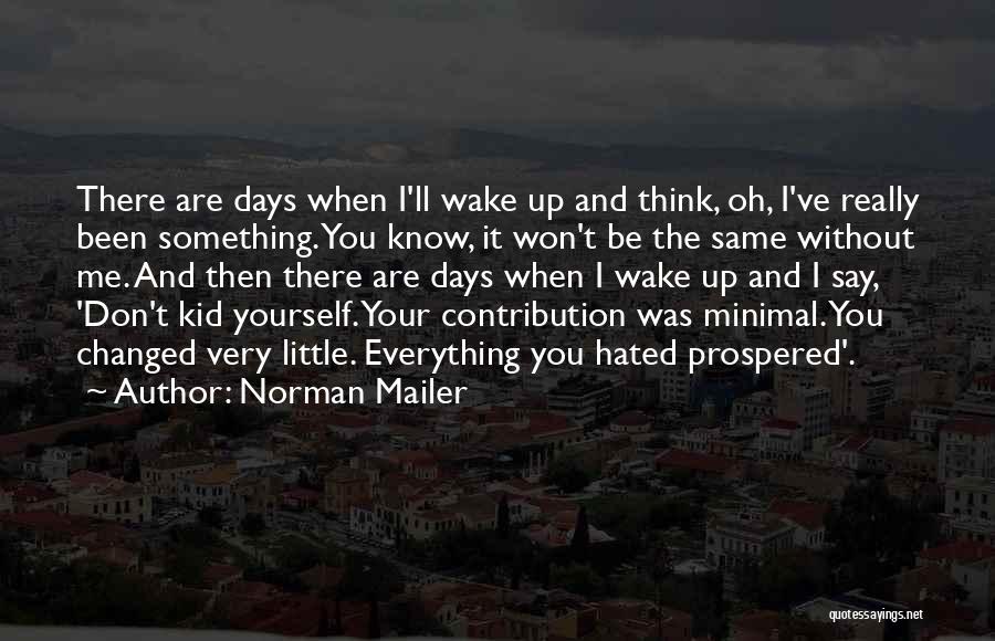 You've Been Changed Quotes By Norman Mailer