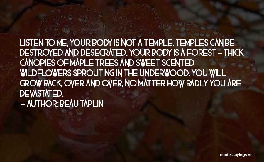 You've Destroyed Me Quotes By Beau Taplin