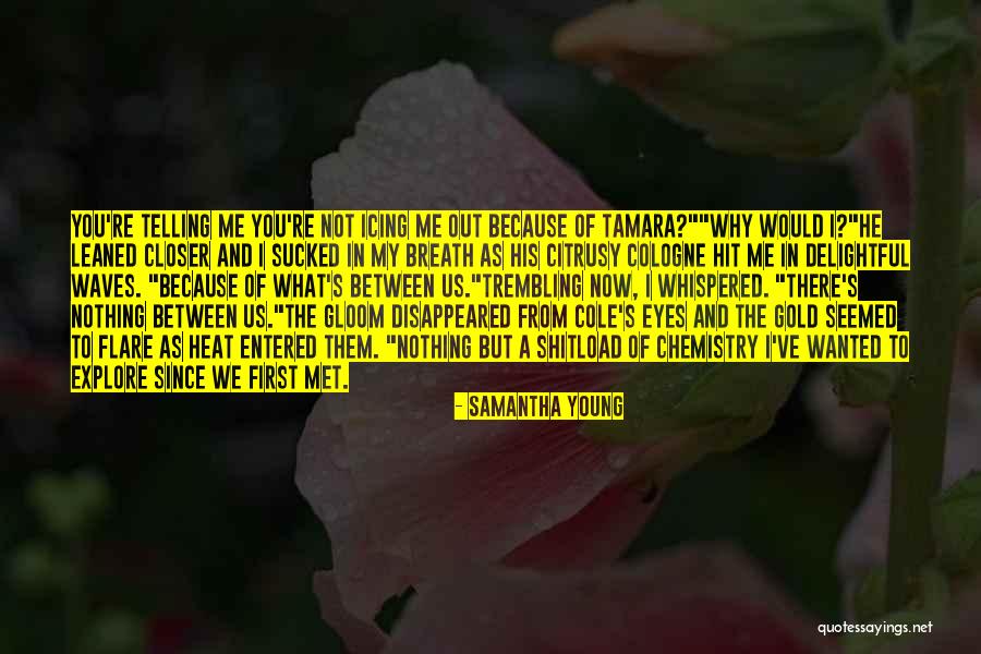 You've Disappeared Quotes By Samantha Young