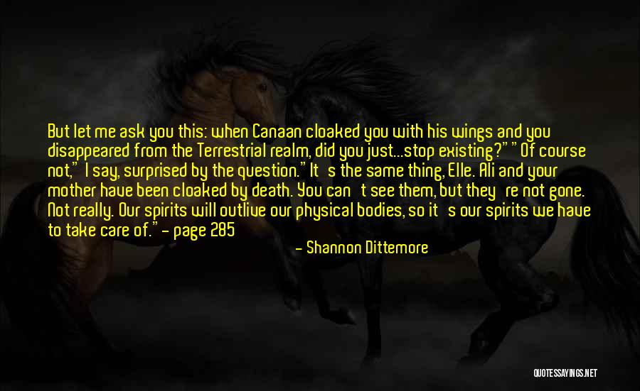 You've Disappeared Quotes By Shannon Dittemore