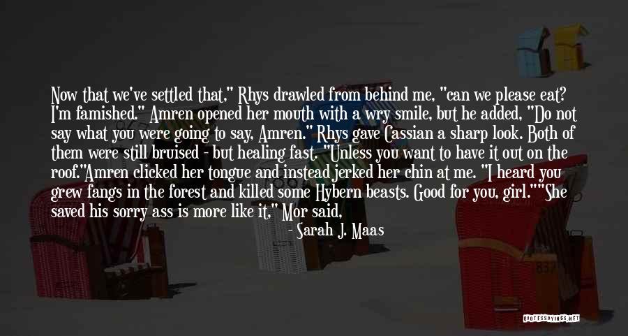 You've Got A Smile Quotes By Sarah J. Maas You've Got A Smile Quotes By Sarah J. Maas