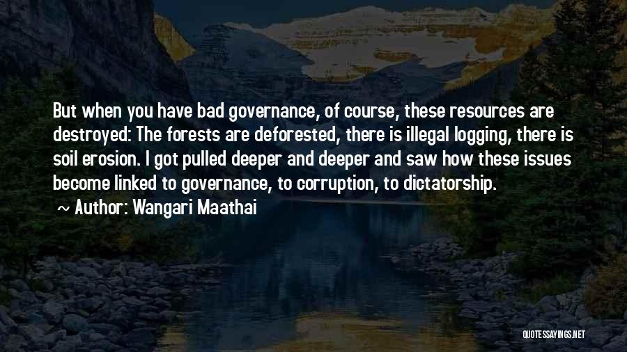 You've Got Issues Quotes By Wangari Maathai