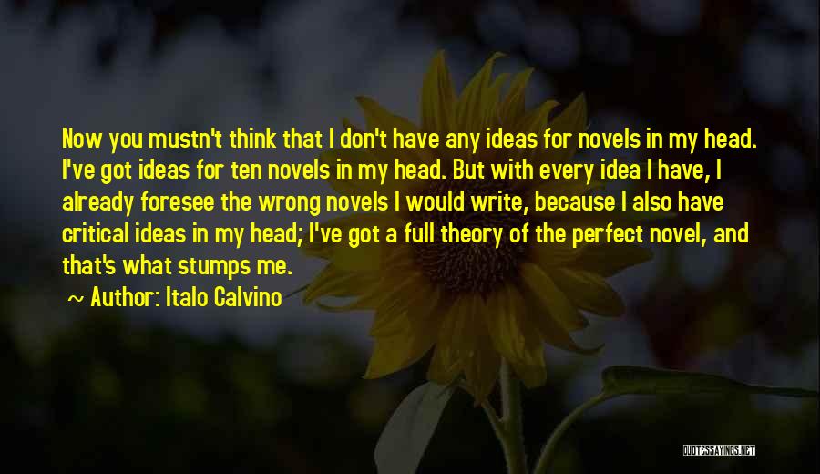 You've Got Me Wrong Quotes By Italo Calvino