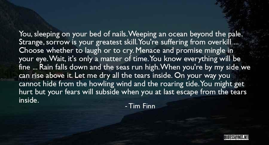 You've Hurt Me For The Last Time Quotes By Tim Finn