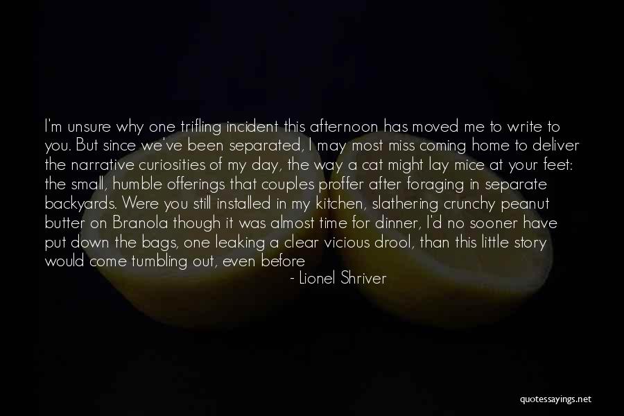 You've Moved On Quotes By Lionel Shriver