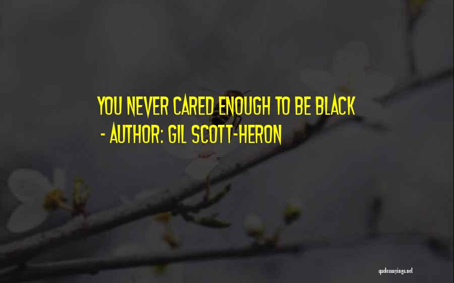 You've Never Cared Quotes By Gil Scott-Heron