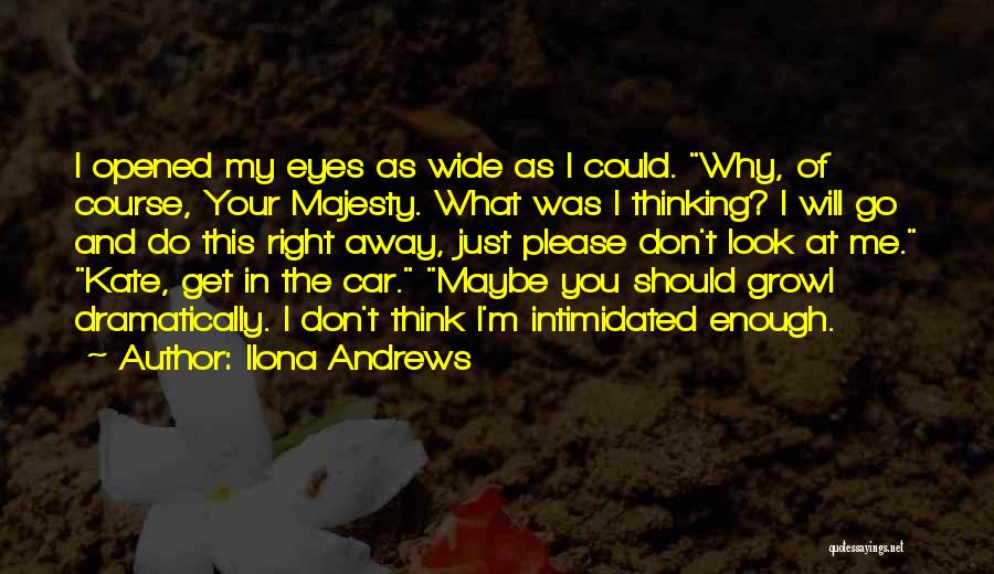 You've Opened My Eyes Quotes By Ilona Andrews