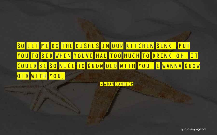 Youve Quotes By Adam Sandler Youve Quotes By Adam Sandler