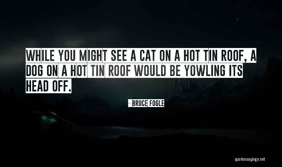 Yowling Quotes By Bruce Fogle Yowling Quotes By Bruce Fogle