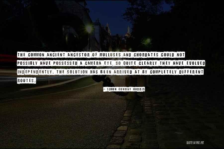 Ypsilon Electronics Quotes By Simon Conway Morris Ypsilon Electronics Quotes By Simon Conway Morris