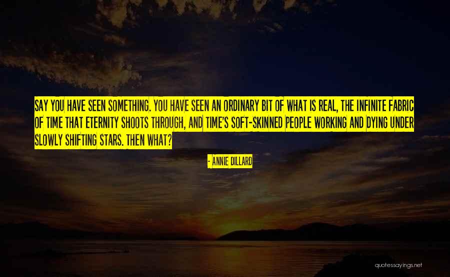 Yreina Quotes By Annie Dillard