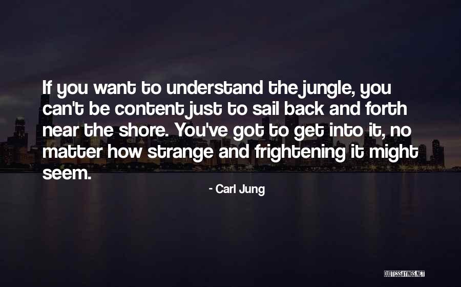 Ysebaert Construction Quotes By Carl Jung Ysebaert Construction Quotes By Carl Jung