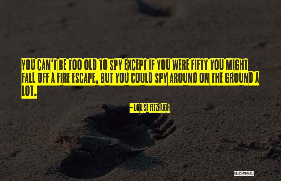 Ysgol Friars Quotes By Louise Fitzhugh Ysgol Friars Quotes By Louise Fitzhugh