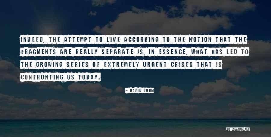 Ysidro Ranch Quotes By David Bohm Ysidro Ranch Quotes By David Bohm