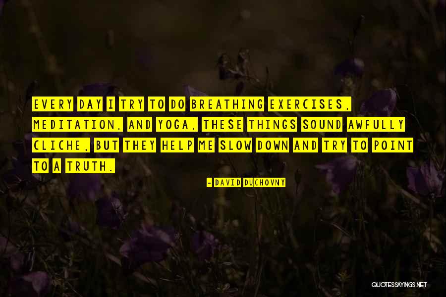 Yuanchengzhi Quotes By David Duchovny Yuanchengzhi Quotes By David Duchovny