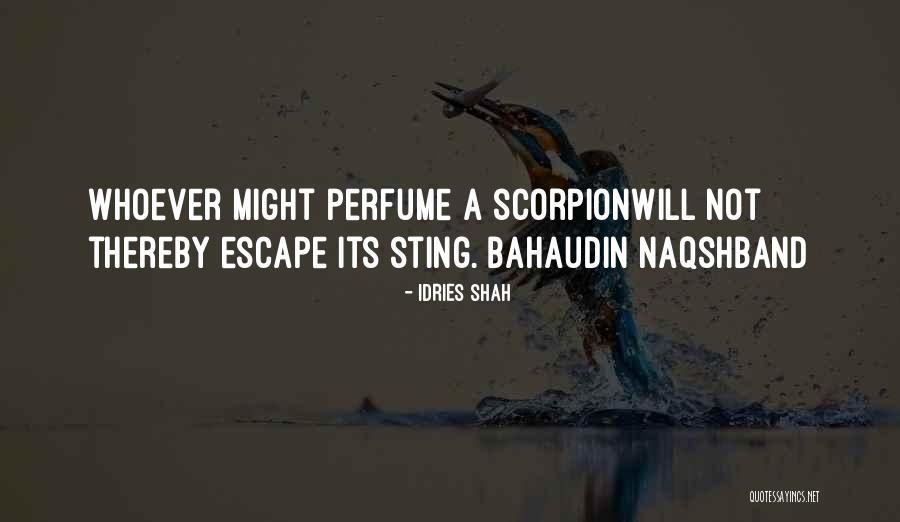 Yuccas Hot Quotes By Idries Shah Yuccas Hot Quotes By Idries Shah