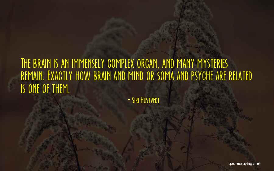 Yudhoyono Indonesia Quotes By Siri Hustvedt Yudhoyono Indonesia Quotes By Siri Hustvedt