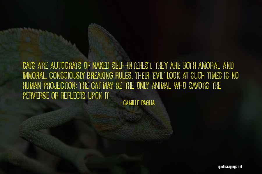 Yueh Hua Quotes By Camille Paglia Yueh Hua Quotes By Camille Paglia