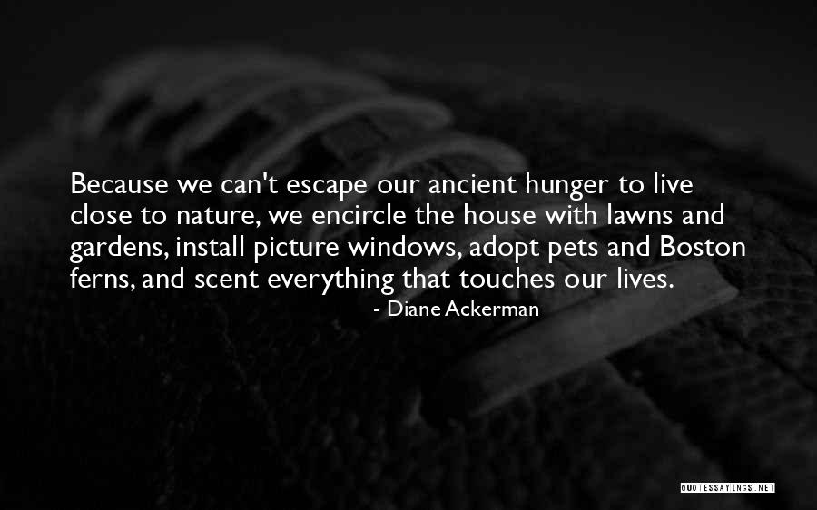 Yukie Natori Quotes By Diane Ackerman Yukie Natori Quotes By Diane Ackerman
