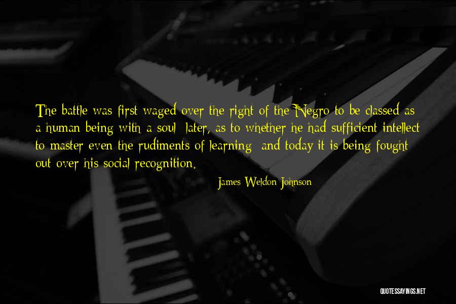 Yuletide Camellia Pictures And Quotes By James Weldon Johnson Yuletide Camellia Pictures And Quotes By James Weldon Johnson