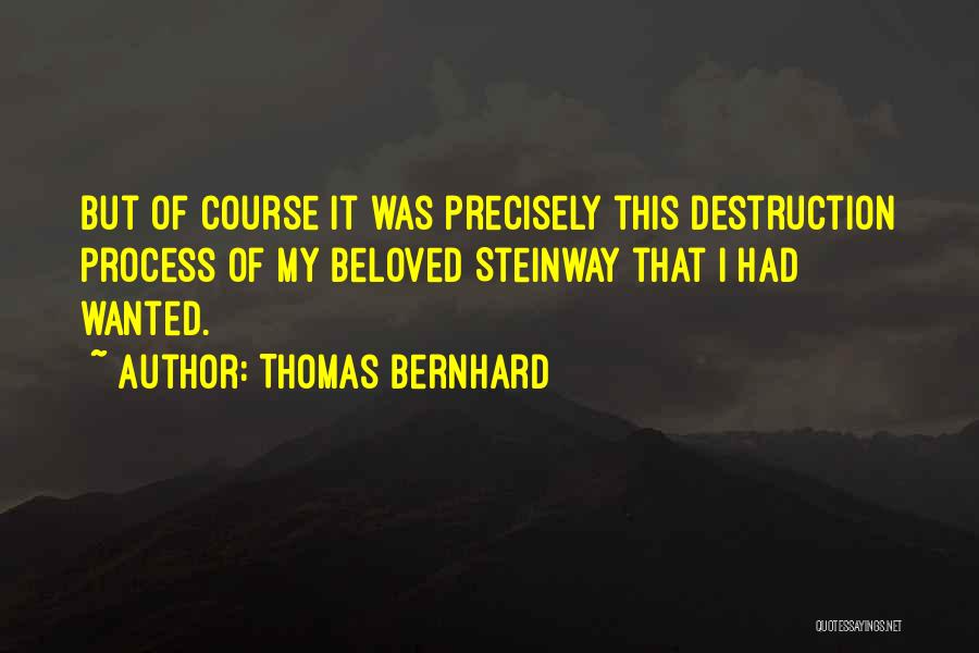 Yulianus Payzon Quotes By Thomas Bernhard