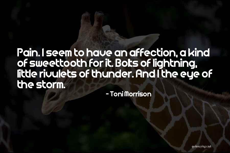 Yummiest Cakes Quotes By Toni Morrison Yummiest Cakes Quotes By Toni Morrison