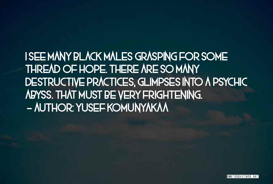 Yusef Komunyakaa Quotes 1532460