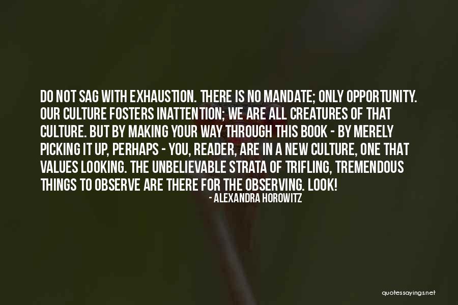 Yusi Zhao Quotes By Alexandra Horowitz Yusi Zhao Quotes By Alexandra Horowitz
