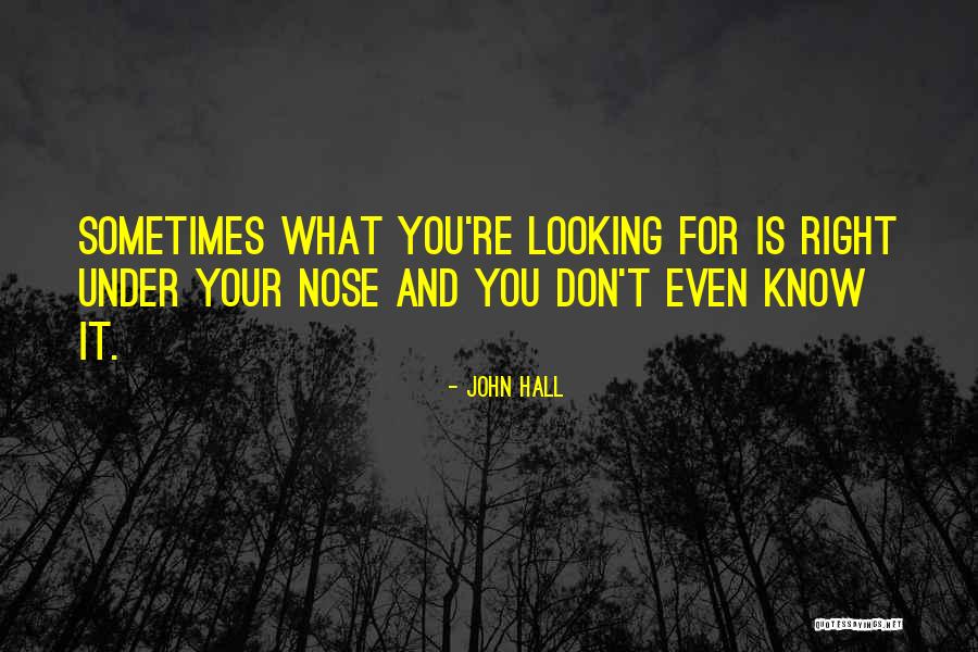 Yvaine Origin Quotes By John Hall Yvaine Origin Quotes By John Hall