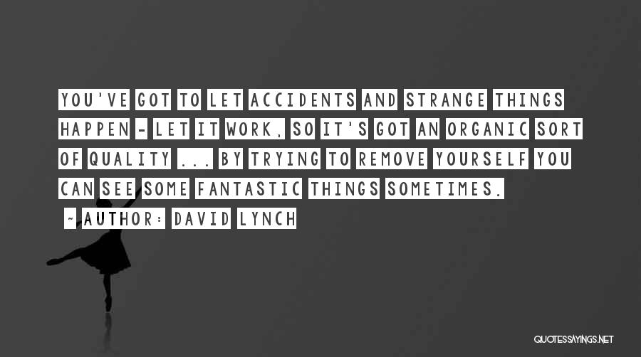 Yvoni Art Quotes By David Lynch